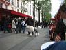 best_of_paris_114