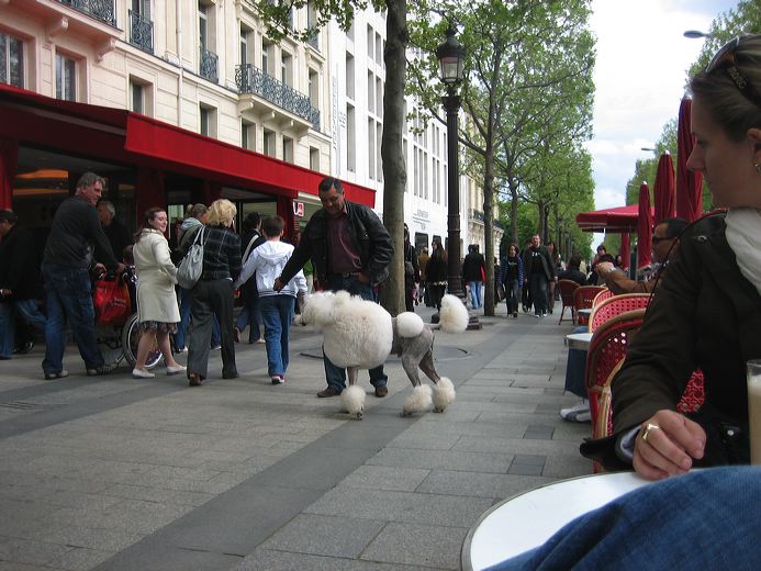best_of_paris_114.jpg